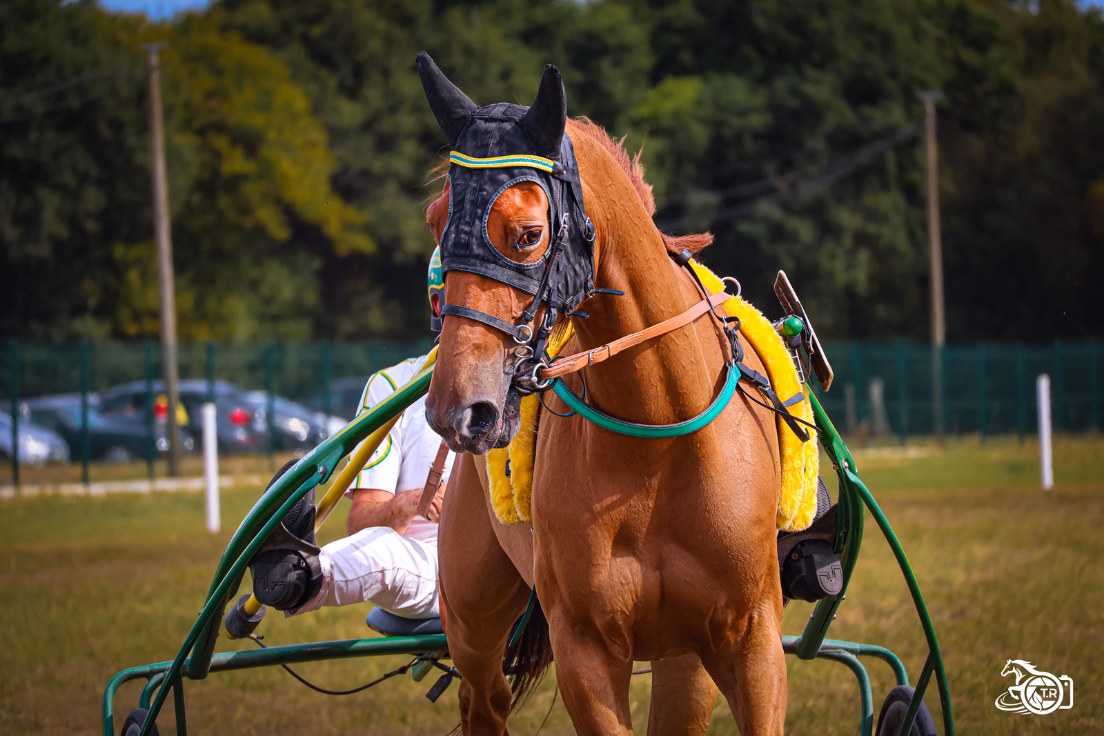 Photographie de l'album dinan 2 3 08 2026