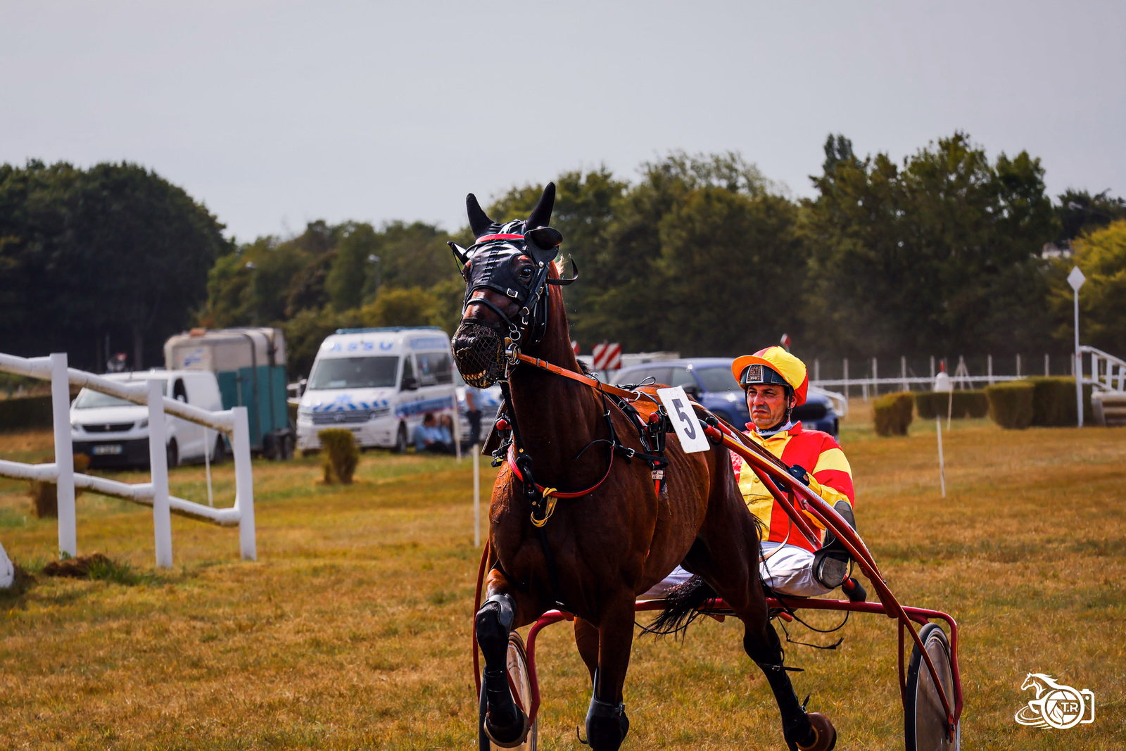 Photographie de l'album dinan 2 3 08 2026