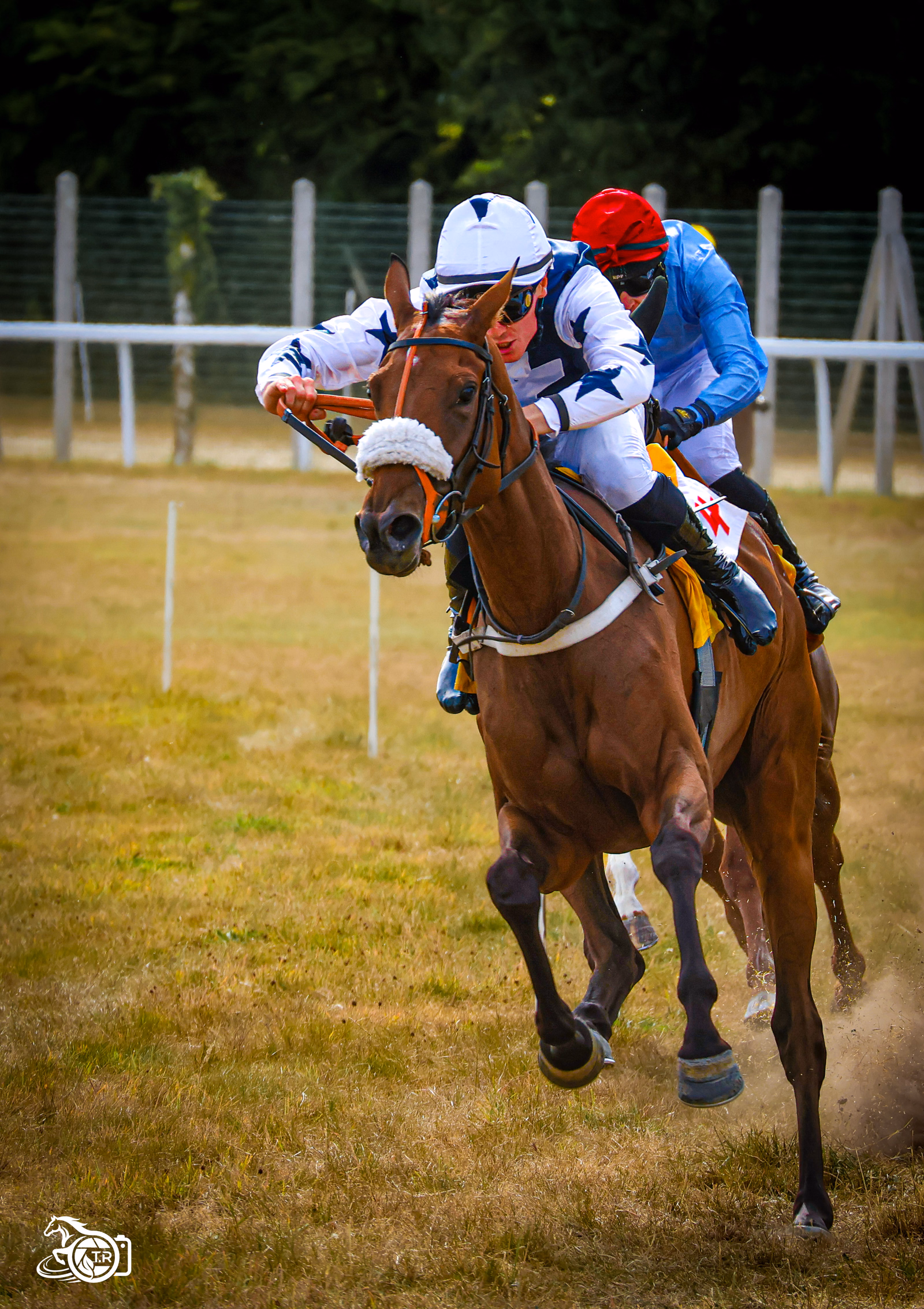 Photographie de l'album dinan 2 3 08 2026