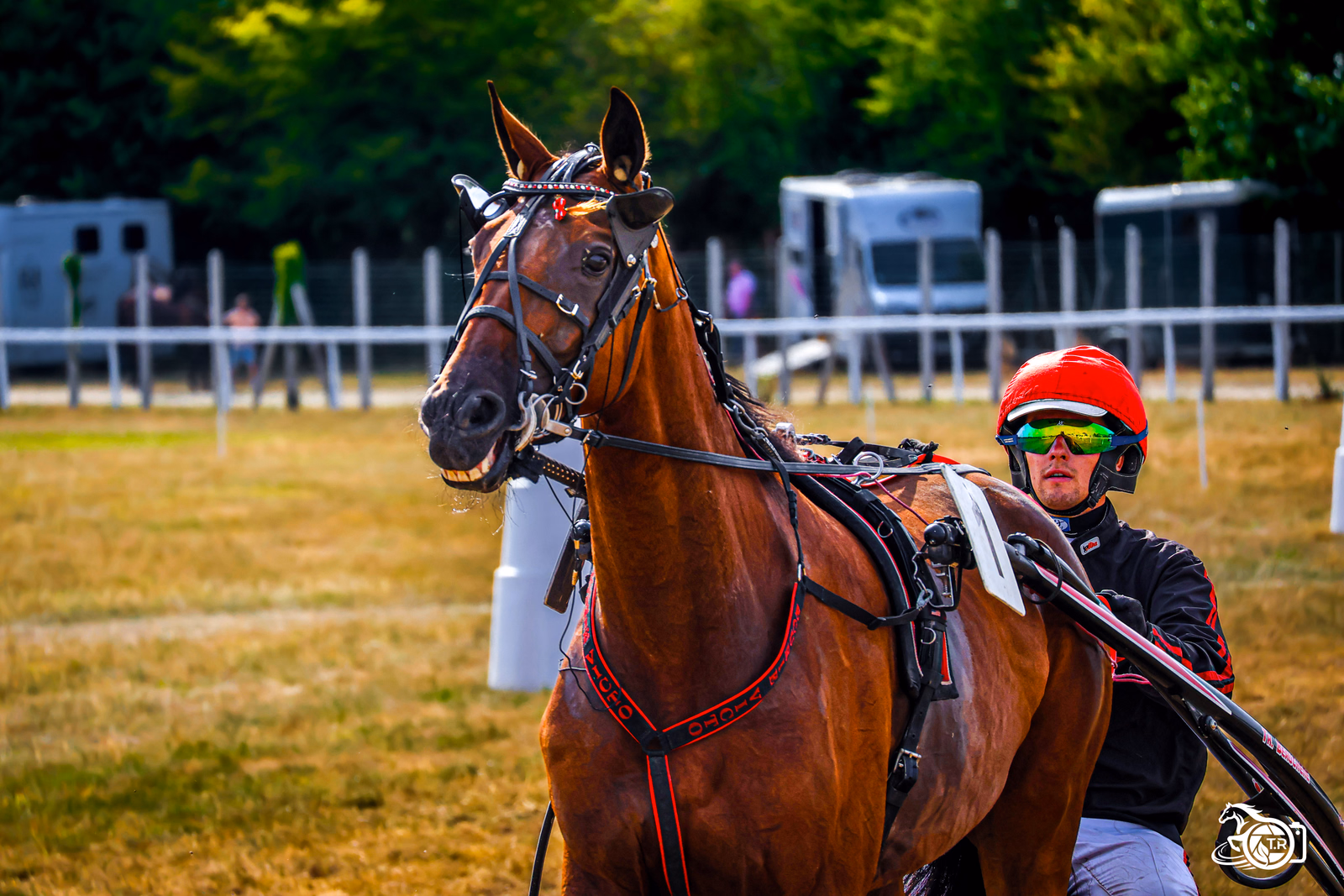 Photographie de l'album dinan 2 3 08 2026