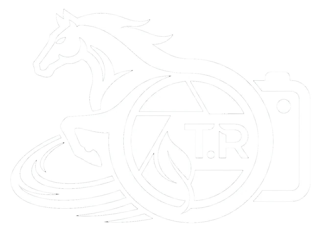Logo du photographe